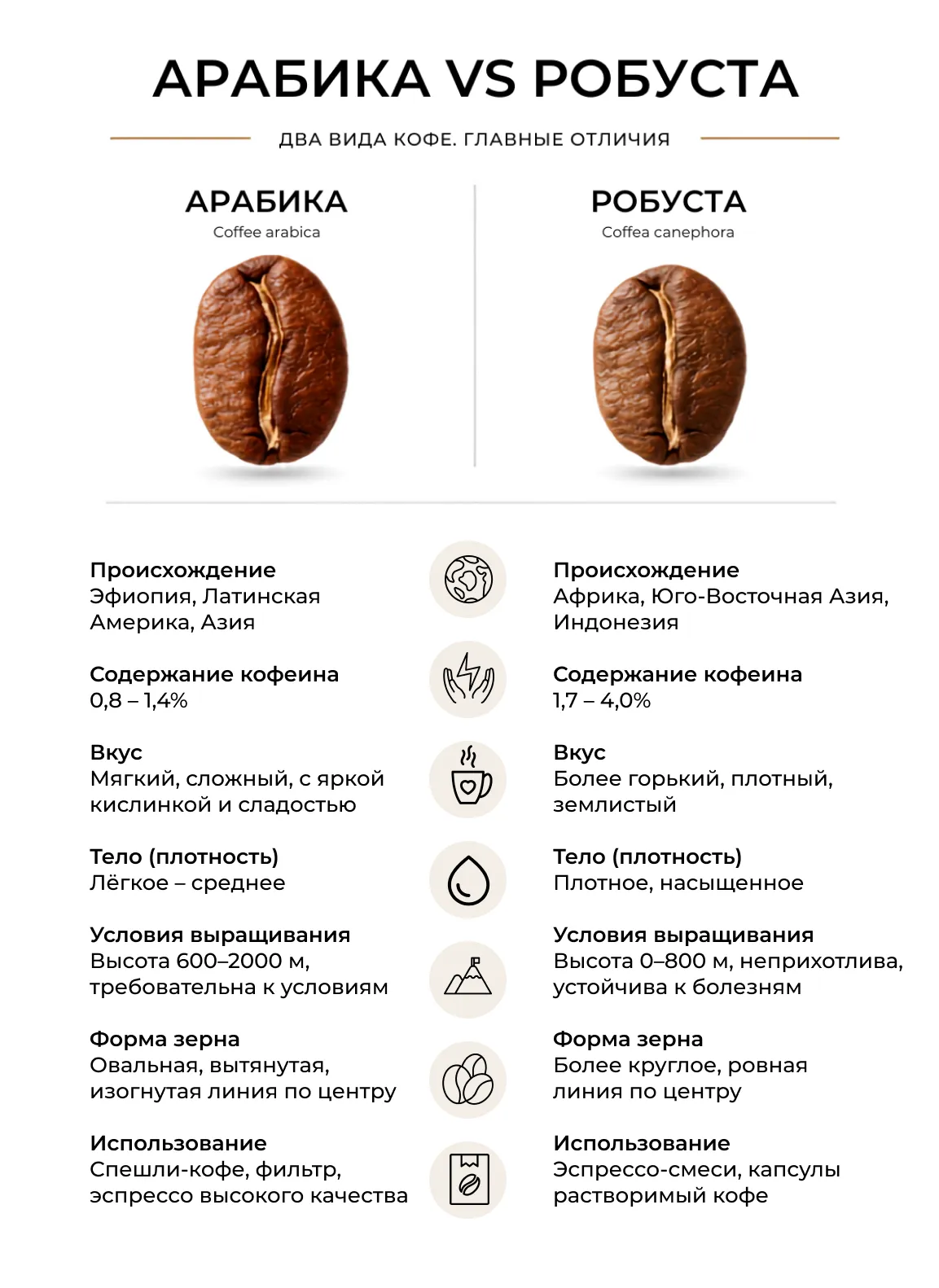 Отличия арабики и робусты
