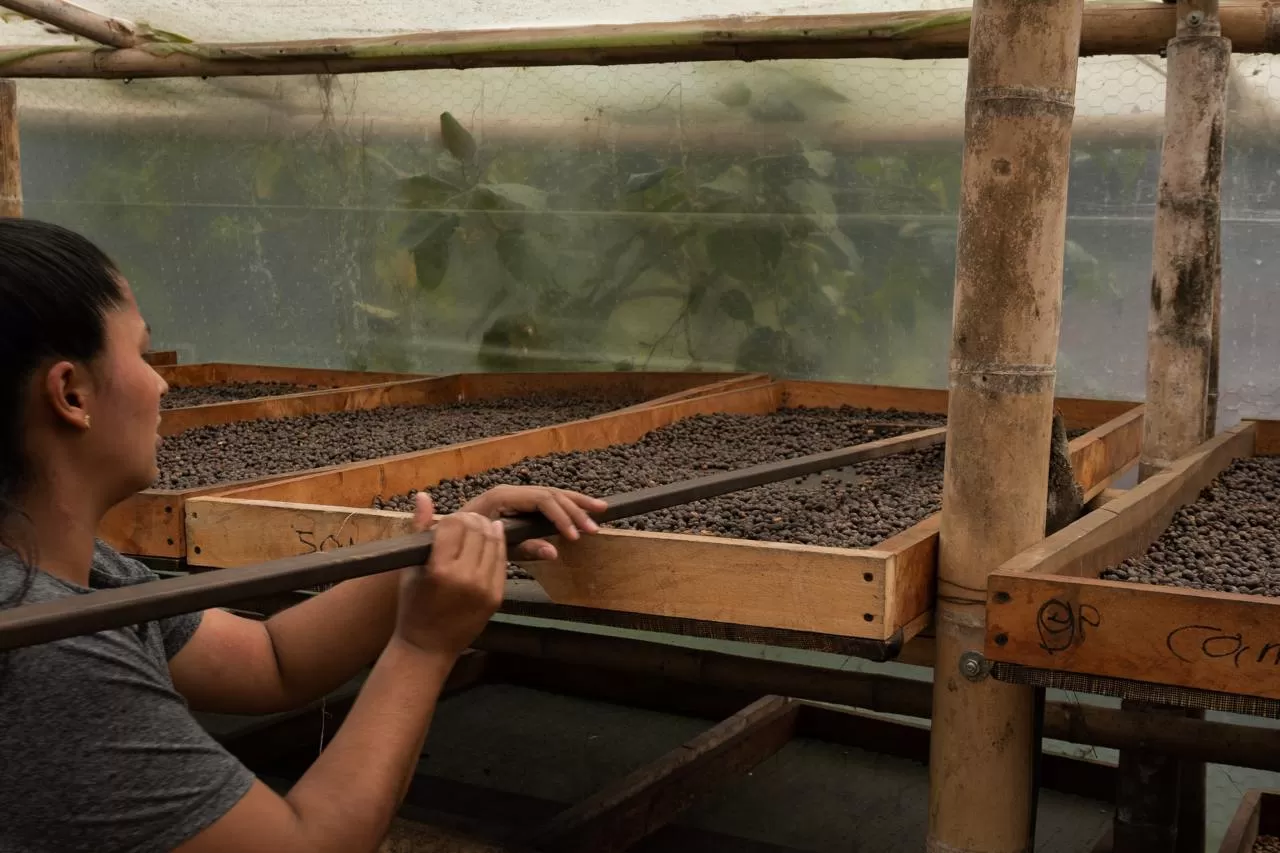 фото кофе Колумбия Вуш Вуш (фильтр) магазин Neva Coffee