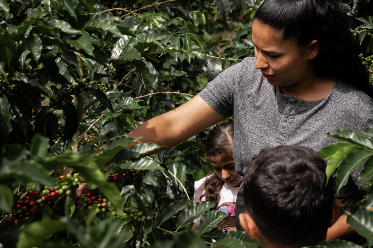 фото кофе Колумбия Вуш Вуш (фильтр) магазин Neva Coffee