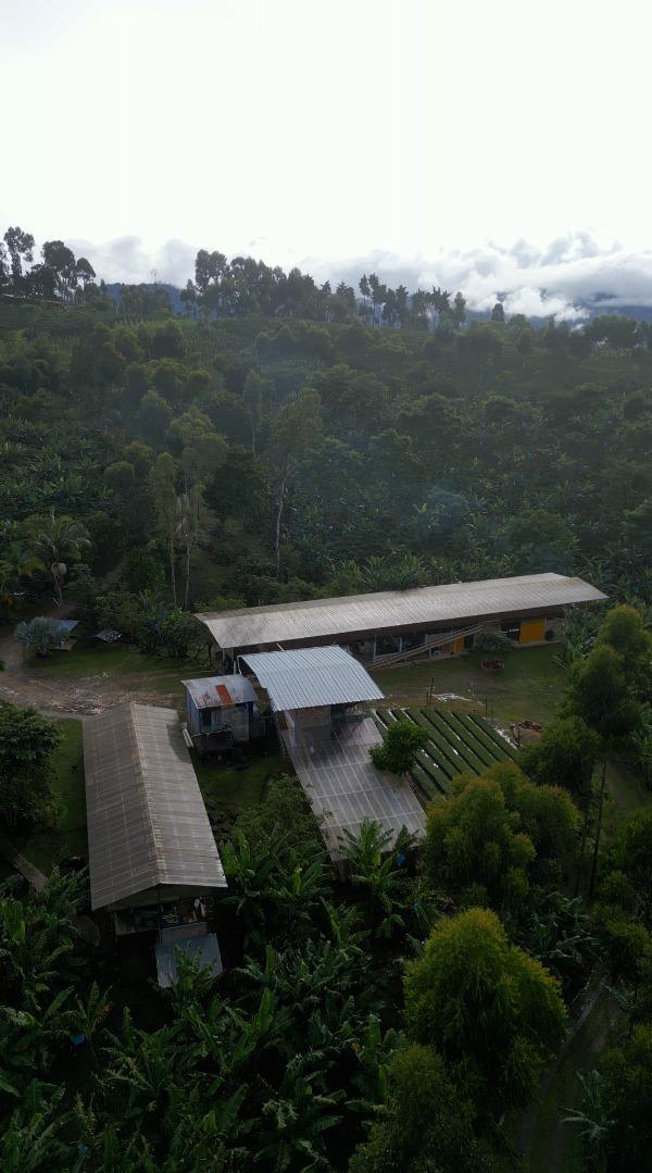 фото кофе Колумбия Омблигон (фильтр) магазин Neva Coffee