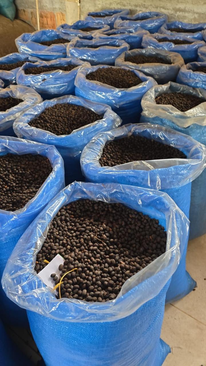 фото кофе Колумбия Омблигон (фильтр) магазин Neva Coffee